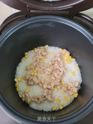 鸡胸肉焖饭的做法步骤：9
