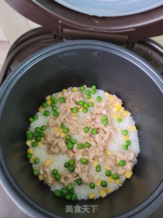 鸡胸肉焖饭的做法步骤：10