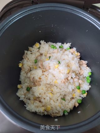 鸡胸肉焖饭的做法步骤：11