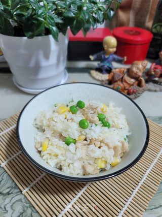 鸡胸肉焖饭的做法步骤：13