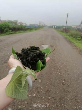 胡葱地皮菌汤的做法步骤：2