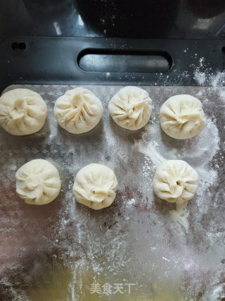 鲜肉酸菜煎包的做法步骤：12