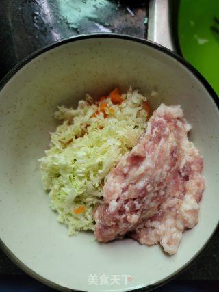 猪肉白菜胡萝卜煎饺的做法步骤：3