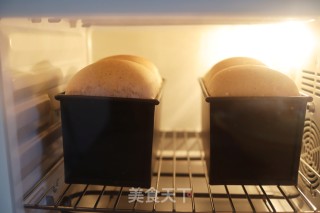 黑全麦老面吐司的做法步骤：16