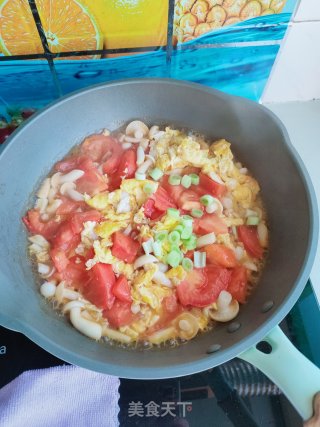 白玉菇西红柿炒鸡蛋的做法步骤：13