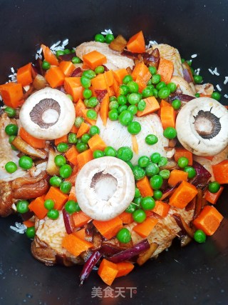 鸡肉焖饭的做法步骤：15