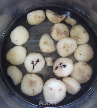 冰糖马蹄水的做法步骤：4