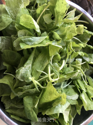 蒜泥苋菜的做法步骤：1