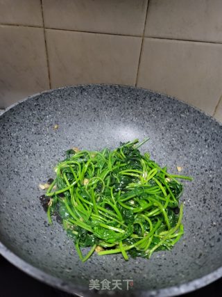 蒜末豆鼓炒番薯叶的做法步骤：6