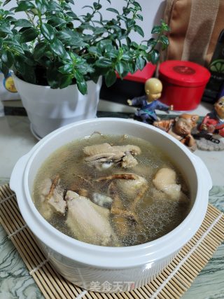五指毛桃炖老母鸡的做法步骤：8