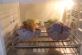 墨西哥可可酱红豆面包的做法步骤：18