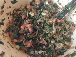 玉米饺子粉蒲公英肉馅煮饺的做法步骤：6