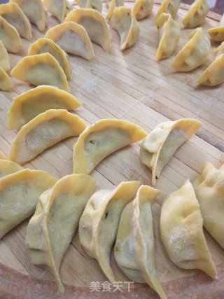 玉米饺子粉蒲公英肉馅煮饺的做法步骤：8