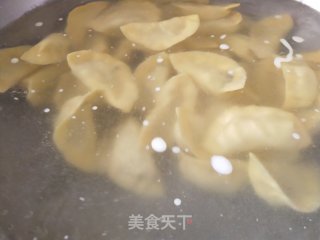 玉米饺子粉蒲公英肉馅煮饺的做法步骤：9