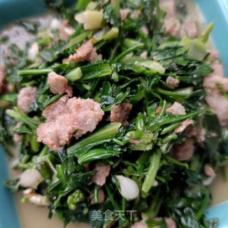 肉末炒苦菜的做法步骤：19