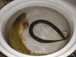 塘角鱼黄鳝砂锅粥的做法步骤：1