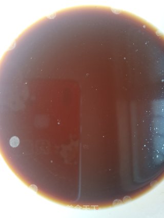 红烧鲫鱼豆腐的做法步骤：10