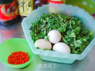 枸杞芽炒鸡蛋的做法步骤：1
