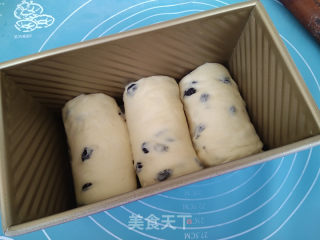 黑加仑吐司的做法步骤：8