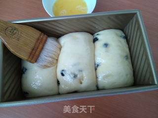 黑加仑吐司的做法步骤：9