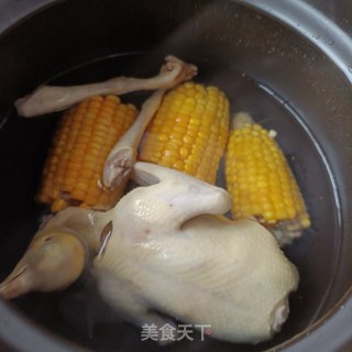 竹荪虫草花玉米炖鸽子的做法步骤：8