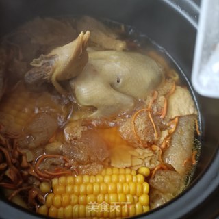 竹荪虫草花玉米炖鸽子的做法步骤：13