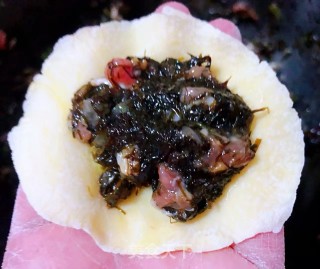 海麻线鲜肉水饺的做法步骤：8
