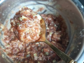 羊肉白菜丸子汤的做法步骤：21