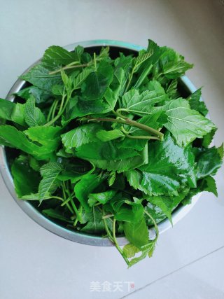 清炒桑树叶的做法步骤：1