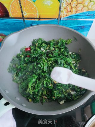 清炒桑树叶的做法步骤：7