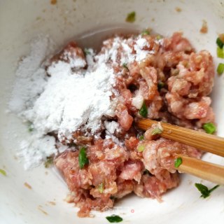 白萝卜汆肉丸的做法步骤：8