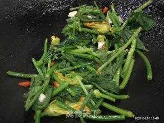 清炒南瓜苗的做法步骤：4