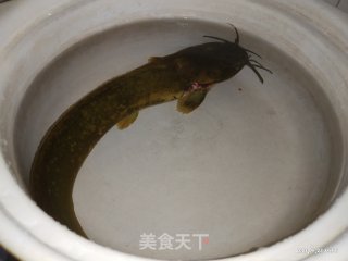 塘角鱼香菇毛豆砂锅粥的做法步骤：1