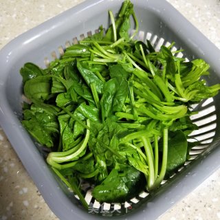 菠菜炒鸡蛋的做法步骤：2