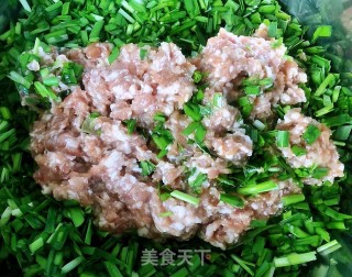 韭菜鲜肉锅贴的做法步骤：4