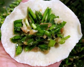 韭菜鲜肉锅贴的做法步骤：7