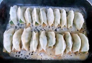 韭菜鲜肉锅贴的做法步骤：10