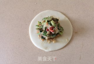 槐花韭菜猪肉饺的做法步骤：20