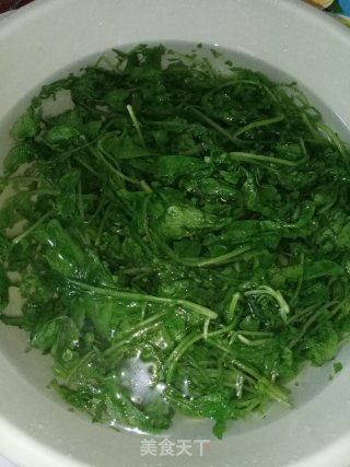 家常蒜蓉萝卜苗的做法步骤：3