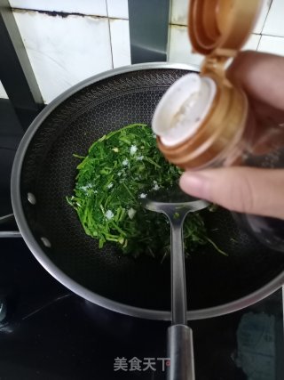 家常蒜蓉萝卜苗的做法步骤：9