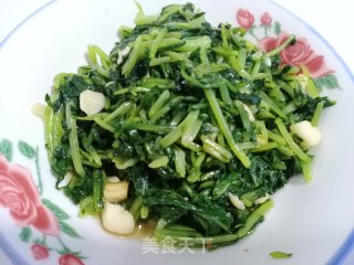家常蒜蓉萝卜苗的做法步骤：10