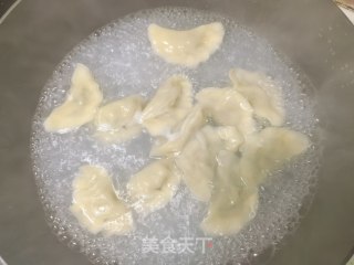 酸辣槐花韭菜猪肉饺的做法步骤：6