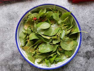 麻酱荆芥的做法步骤：9