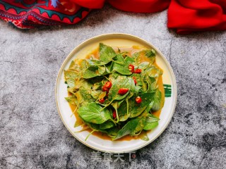 麻酱荆芥的做法步骤：10
