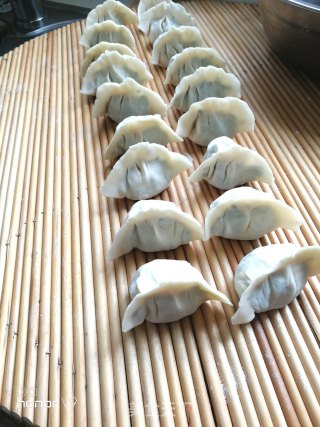 黄瓜鸡蛋素水饺的做法步骤：8