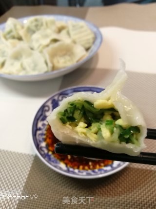 黄瓜鸡蛋素水饺的做法步骤：10