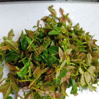 花椒芽炒蛋的做法步骤：1