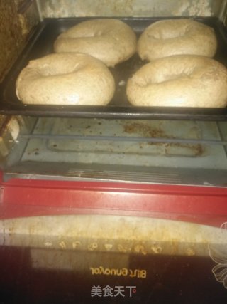 黑麦核桃贝果的做法步骤：12