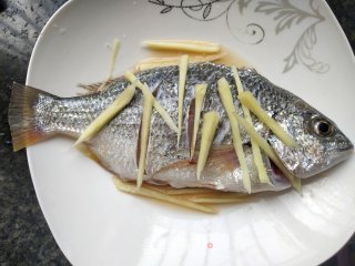 红烧海鲫鱼的做法步骤：2