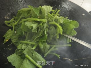 清炒南瓜苗的做法步骤：4